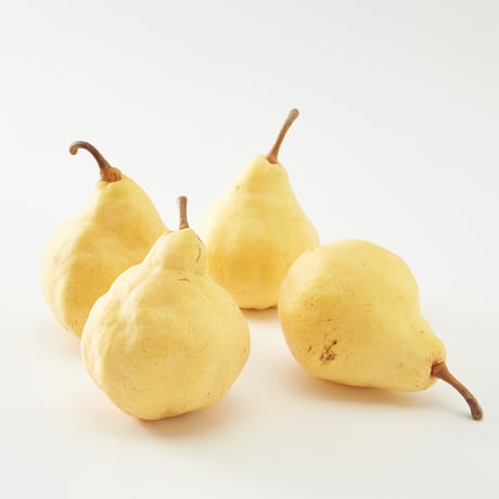 【10%OFF】吹上農園のおいしいサブスク。（11月-柿3kg12個　12月-ルレクチェ1.5kg3〜4個）