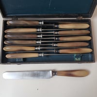 19世紀後半　テーブル・ナイフ　コルヌとアシエール　お箱入り　12点セット