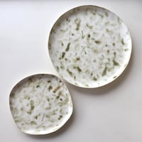 藤本羊子　こもれび皿
