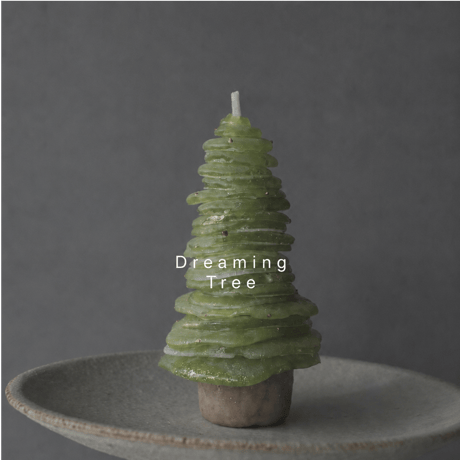 対面10.11月 :New LESSON TREE#01 #02 : season candle クリスマス