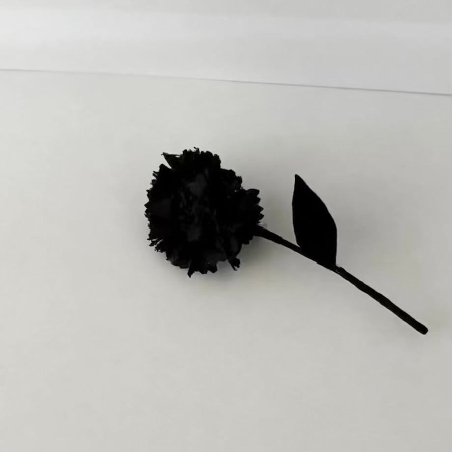 6a798eaab776cf05e3f11dcb