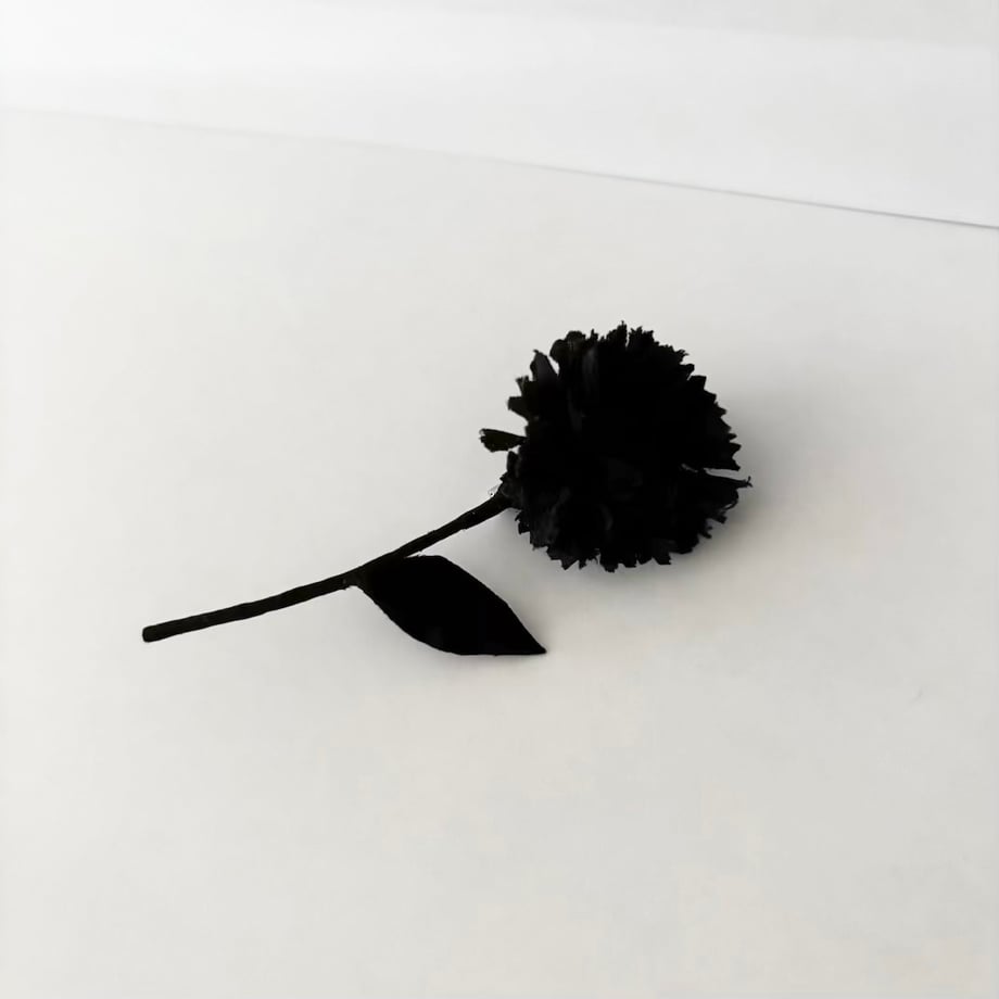 6a798eaab776cf05e3f11dcb