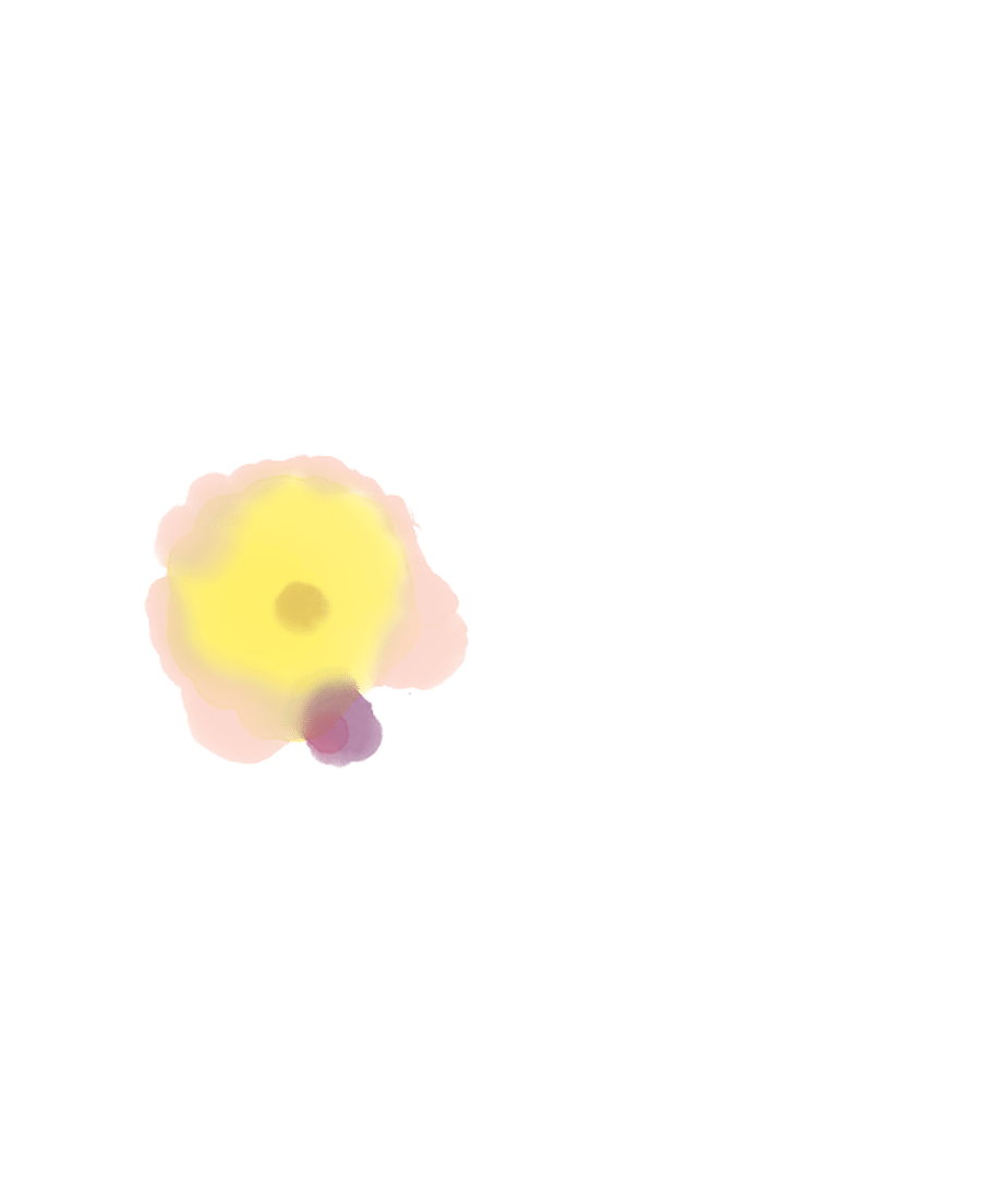 6a55e8b38eae803657ce64ec