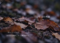 「秋景の琴線」~ JHOICE定期便：季節と記憶の物語 ~