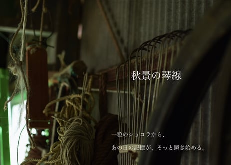 「秋景の琴線」~ JHOICE定期便：季節と記憶の物語 ~