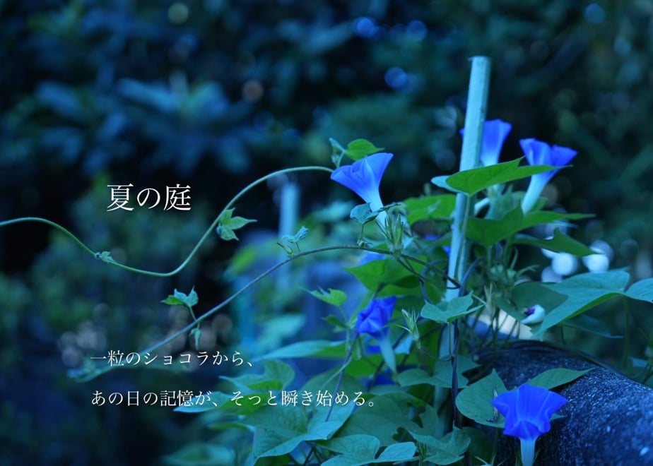 6a9664c6c56f482d8dd04668