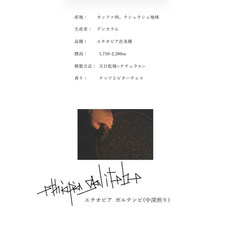 エチオピア ガルテンビ 100g(中深煎)