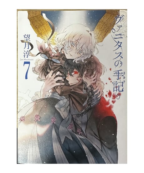 【中古】ヴァニタスの手記 1〜7巻セット 望月淳 スクウェア・エニックス
