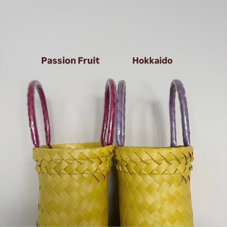 【11月2日(月)〜11月6日(金)発送】 Mekearibag No.11 (Size: XS) _  Passion Fruit