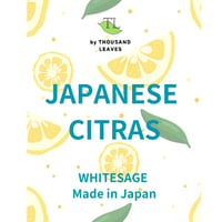 Japanese Citras／国産シトラス／国産ホワイトセージスプレー＆詰め替え用セット