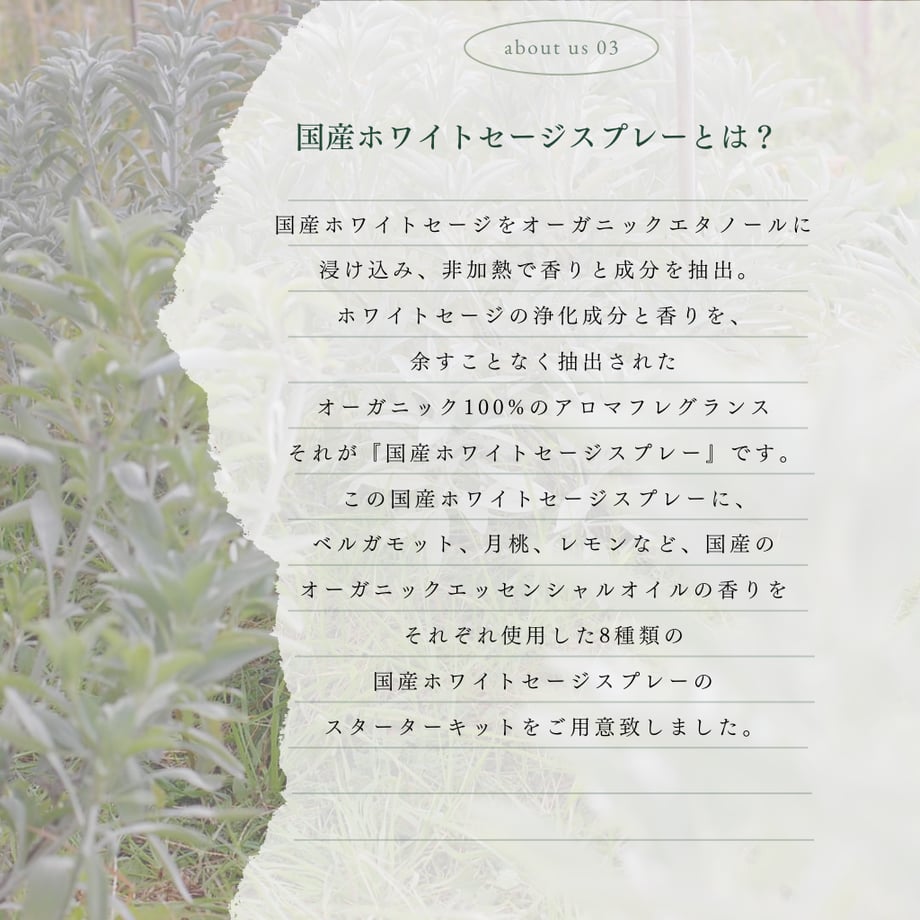689a91b1d7091d803fb5886b