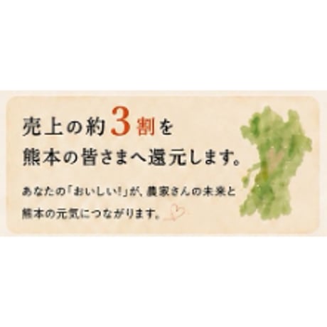 熊本応援ビール ６本セット