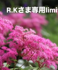 R.Kさま専用ページ　フェザーヤーンニットキャップMGCP26149