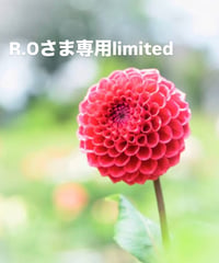R.Oさま専用ページ