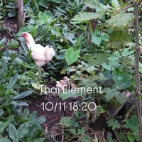 (11) 10/11(日) ＊18:20の回【タイエレメントで自分を知る】＠babajiji house(祐天寺)