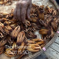 ⑧10/11(日) ＊15:50の回【タイエレメントで自分を知る】＠babajiji house(祐天寺)