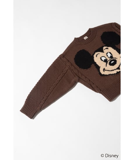 Disney / Face knit pullover【WCJ-TD-048BRN】※11月上旬発売予定