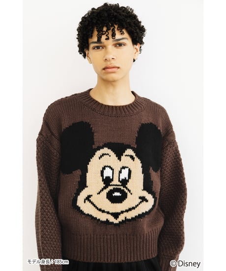 Disney / Face knit pullover【WCJ-TD-048BRN】※11月上旬発売予定