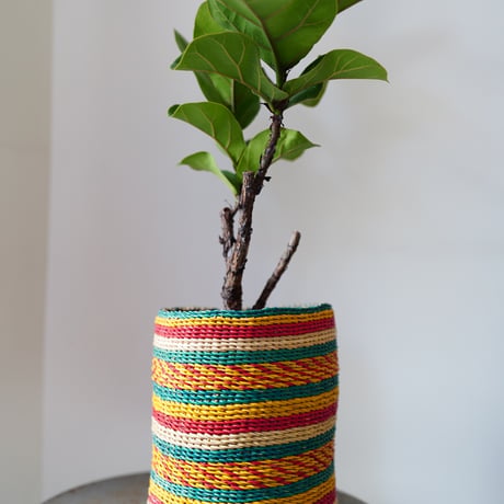 ＜CLOUDY×gui＞ FICUS BASKET SET（STRIPE）