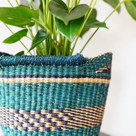 ＜CLOUDY×gui＞ ANTHRIUM BASKET SET（GREEN）