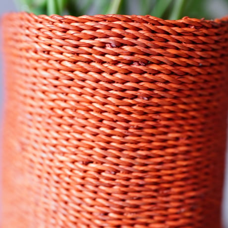 ＜CLOUDY×gui＞MONSTERA  BASKET  SET（ORANGE）