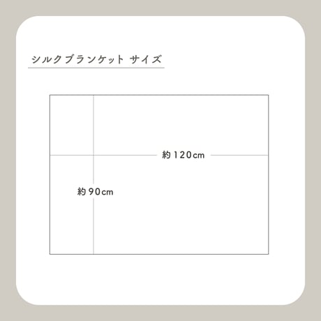 【hasegawa】シルクブランケット