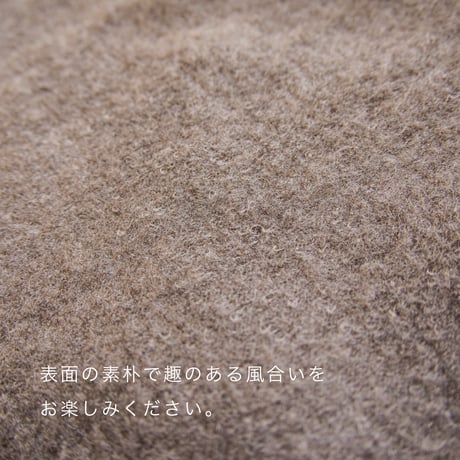 【hasegawa】シルクブランケット