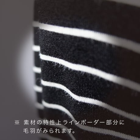 【SISIA】タッサースパンシルク ボーダーＴシャツ