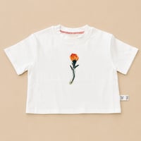 emasroom 【Jr.Tee】