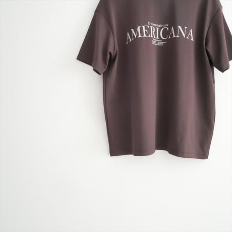 2025AW・人気完売品 DEUXIEME CLASSE別注 AMERICANA COOL TEE 25070510001830 2608-2151