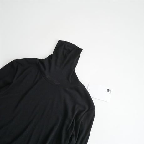 継続販売品 AURALEE / SUPER HIGH GAUGE SHEER RIB TURTLE NECK L/S TEE / A00T02HF 2602-0197