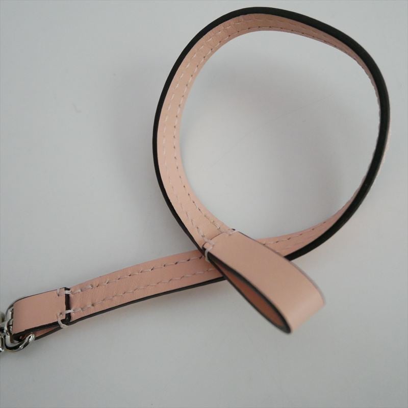 継続販売品 Herve Chapelier 1660L (レザーストラップ)と122LTR (