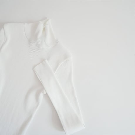 2025AW 未使用 AURALEE×RonHerman RIB TURTLE NECK L/S A25AT02RH 2605-0133