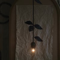 虫食い葉の黒い蕾／ペンダントランプ
