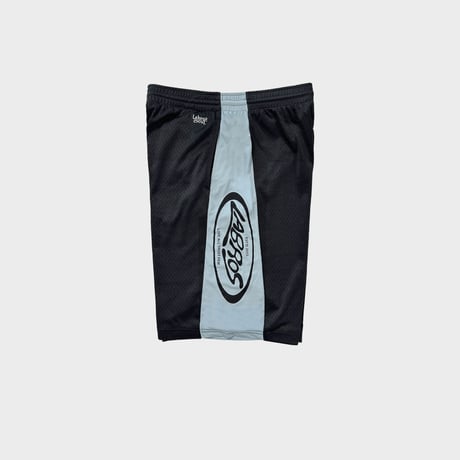 Mesh Shorts (Light Blue)