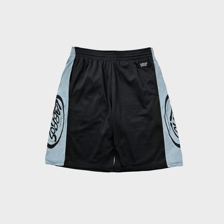 Mesh Shorts (Light Blue)