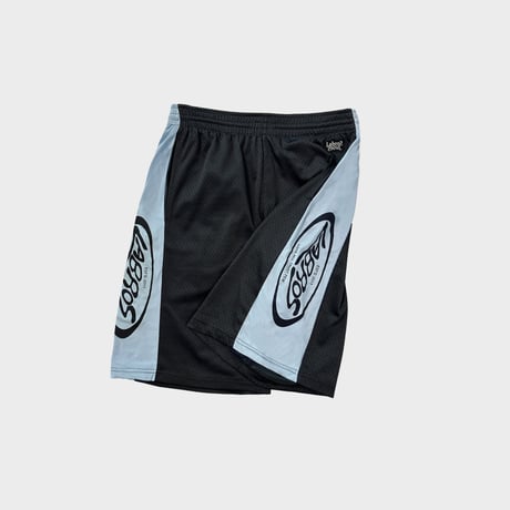 Mesh Shorts (Light Blue)