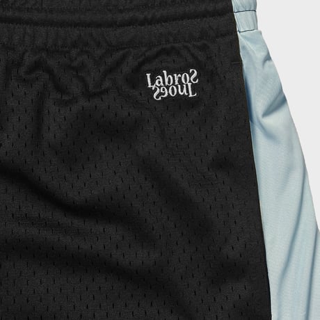 Mesh Shorts (Light Blue)