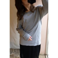 light gray thermal