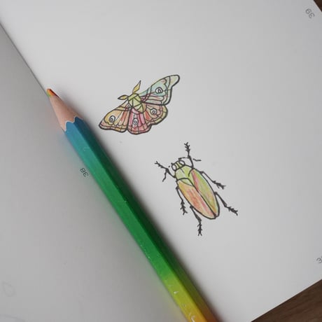 塗り絵ができるダイアログノートアート（3冊+色鉛筆セット）｜晴夏Edition