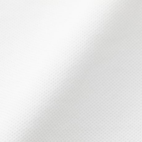NPg-260828-SPL-01