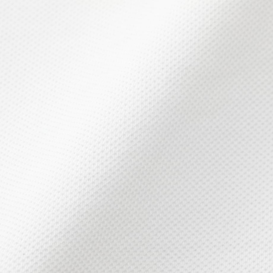 6a9088b52ce5f6abe4b3c900