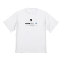 NPg-260704-ST-01