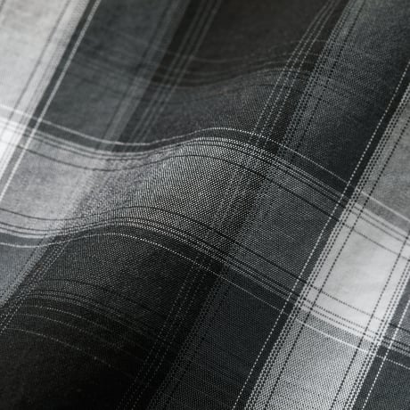 NPg-260925-LS-02