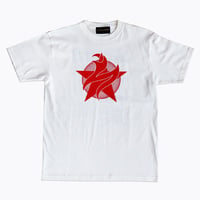 FIRESTARTER-SST