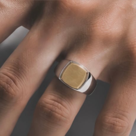 ROI RING P(M)