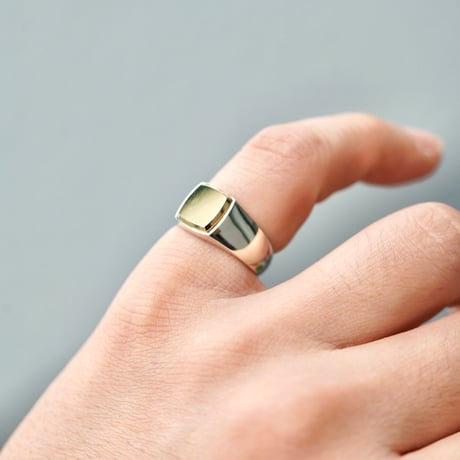 ROI RING P(M)
