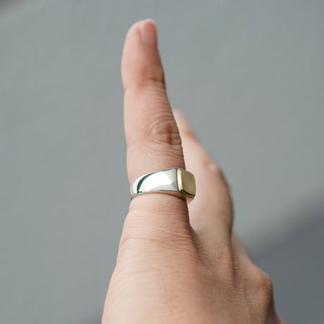 ROI RING P(M)