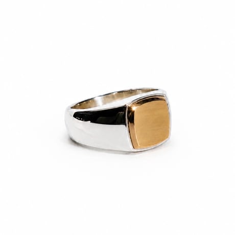 ROI RING P(M)