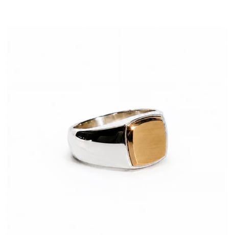 ROI RING P(M)